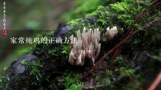 家常炖鸡的正确方法