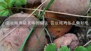 芸豆炖鸡最美味的做法 芸豆炖鸡怎么做好吃