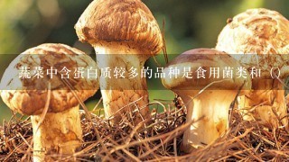 蔬菜中含蛋白质较多的品种是食用菌类和（）