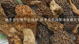 秋季养生喝什么汤好 秋季养生汤煲汤食谱大全