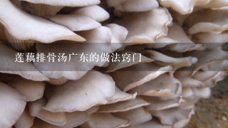 莲藕排骨汤广东的做法窍门