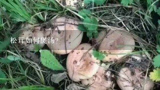 松茸如何煲汤？