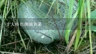 十大特色潮汕名菜