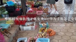 小蝌蚪视频软件下载免费app华为手机怎么安装