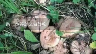 蹄髈炖汤怎么做好吃