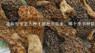 花椒籽要怎么种才能种出苗来。哪个季节种最合适？