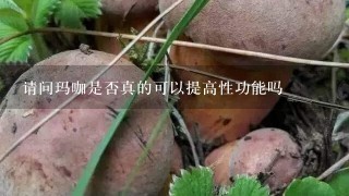 请问玛咖是否真的可以提高性功能吗