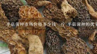 平菇菌种市场价格多少钱1斤 平菇菌种的优劣判断