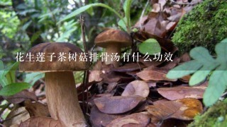 花生莲子茶树菇排骨汤有什么功效