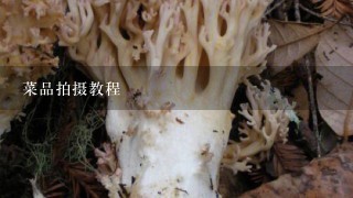 菜品拍摄教程