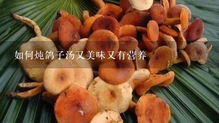 如何炖鸽子汤又美味又有营养