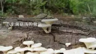 养生菌菇汤的做法