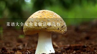 菜谱大全家常菜做法哪儿有