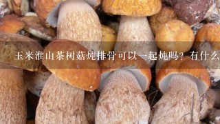 玉米淮山茶树菇炖排骨可以1起炖吗？有什么功效
