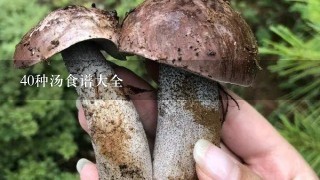 40种汤食谱大全