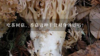 吃茶树菇、香菇这种干货对身体好吗？