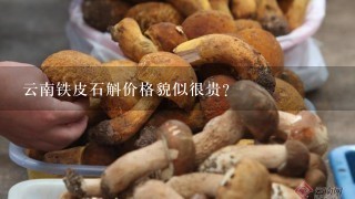 云南铁皮石斛价格貌似很贵?