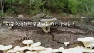 鸡怎么炖好吃家常做法的几种做法？