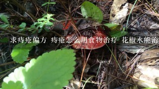 求痔疮偏方 痔疮怎么用食物治疗 花椒水能治疗痔疮吗？