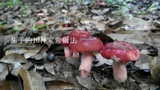 茄子的10种家常做法