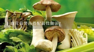 干鹿茸菇煲汤搭配最佳做法？