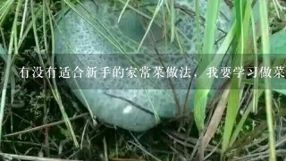 有没有适合新手的家常菜做法，我要学习做菜啦