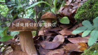 萝卜清炖排骨的家常做法