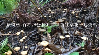 茶树菇,竹荪,+姬松茸羊肚菌红草花1起炖鸡可以吗？