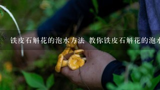 铁皮石斛花的泡水方法 教你铁皮石斛花的泡水方法