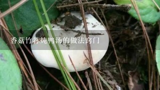 香菇竹荪炖鸭汤的做法窍门