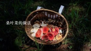 桑叶菜的做法