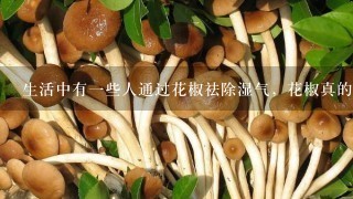 生活中有1些人通过花椒祛除湿气，花椒真的可以祛除