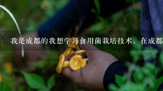 我是成都的我想学习食用菌栽培技术，在成都范围内哪里有好的培训基地，请各位高手指点。谢谢