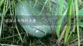 祛湿去火喝什么茶