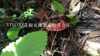 VIVOX5花椒直播怎么打开音乐