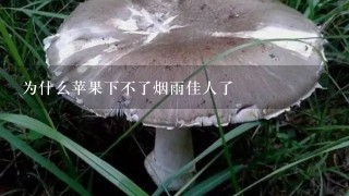 为什么苹果下不了烟雨佳人了