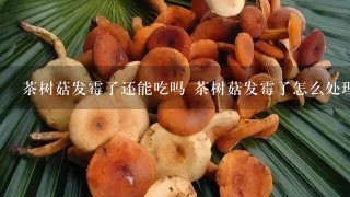 茶树菇发霉了还能吃吗 茶树菇发霉了怎么处理