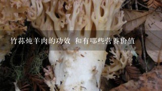 竹荪炖羊肉的功效 和有哪些营养价值