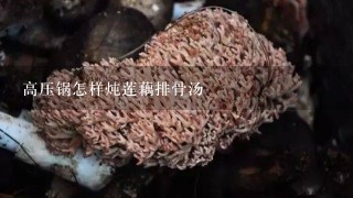 高压锅怎样炖莲藕排骨汤