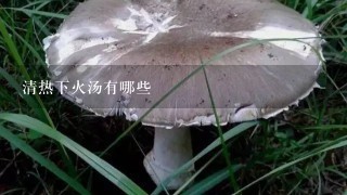 清热下火汤有哪些