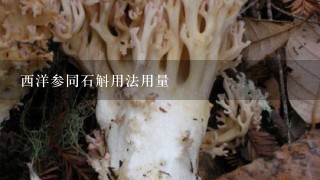 西洋参同石斛用法用量