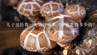 儿子送给我1大箱沙棘果汁价格是值多少钱？