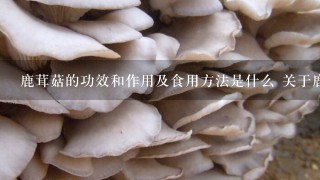 鹿茸菇的功效和作用及食用方法是什么 关于鹿茸菇的功效和作用及食用方法