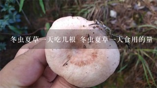 冬虫夏草1天吃几根 冬虫夏草1天食用的量