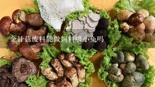 金针菇废料能做饲料喂小兔吗