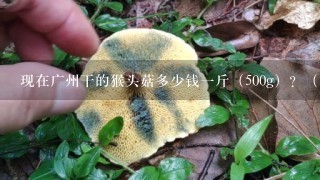 现在广州干的猴头菇多少钱1斤（500g）？（急）