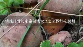 清炖排骨的家常做法大全怎么做好吃视频