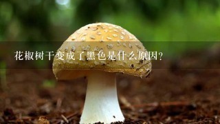 花椒树干变成了黑色是什么原因？