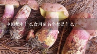 中国都有什么食用菌名字都是什么？