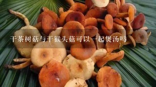 干茶树菇与干猴头菇可以1起煲汤吗